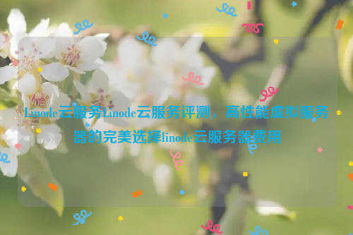 Linode云服务Linode云服务评测，高性能虚拟服务器的完美选择linode云服务器费用