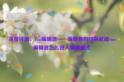 深度评测，Vim编辑器——编程者的终极武器vim编辑器怎么进入编辑模式