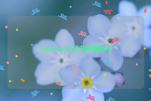 GlobalSign SSL证书评测报告