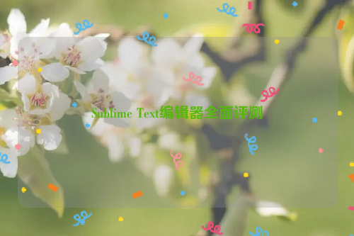 Sublime Text编辑器全面评测