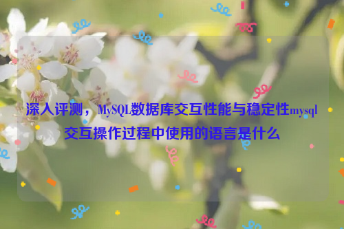 深入评测，MySQL数据库交互性能与稳定性mysql交互操作过程中使用的语言是什么