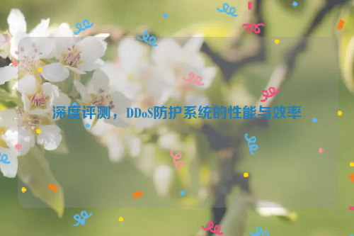 深度评测，DDoS防护系统的性能与效率