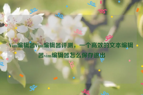 Vim编辑器Vim编辑器评测，一个高效的文本编辑器vim编辑器怎么保存退出