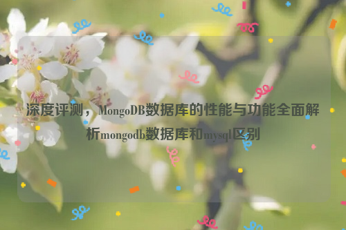 深度评测，MongoDB数据库的性能与功能全面解析mongodb数据库和mysql区别