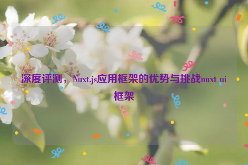 深度评测，Nuxt.js应用框架的优势与挑战nuxt ui框架