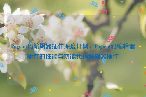 Pugient码编辑器插件深度评测，Pugient码编辑器插件的性能与功能代码编辑器插件