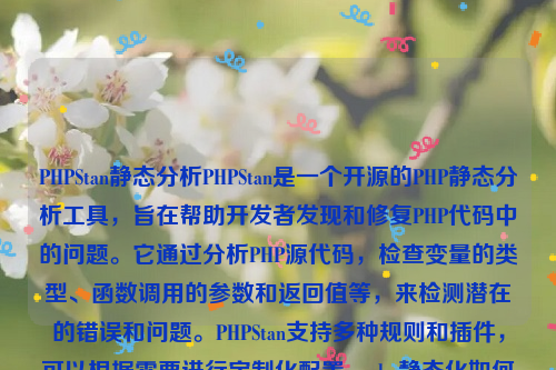 PHPStan静态分析PHPStan是一个开源的PHP静态分析工具，旨在帮助开发者发现和修复PHP代码中的问题。它通过分析PHP源代码，检查变量的类型、函数调用的参数和返回值等，来检测潜在的错误和问题。PHPStan支持多种规则和插件，可以根据需要进行定制化配置。php静态化如何实现