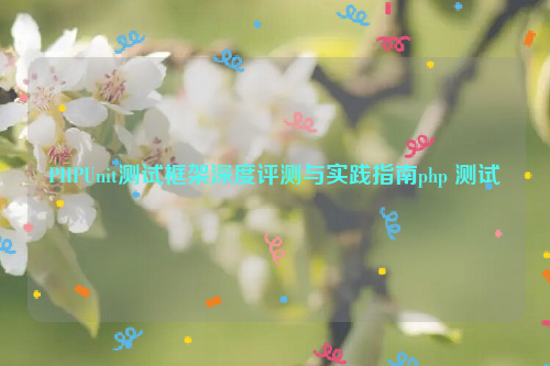 PHPUnit测试框架深度评测与实践指南php 测试