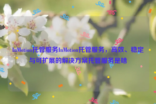 InMotion托管服务InMotion托管服务，高效、稳定与可扩展的解决方案托管服务是啥