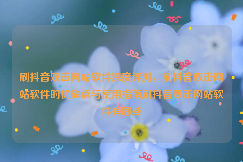 刷抖音双击网站软件深度评测，刷抖音双击网站软件的优缺点与使用指南刷抖音双击网站软件有哪些