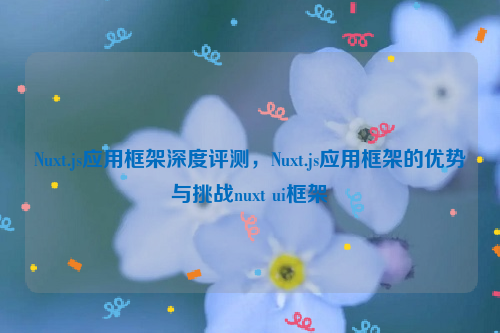 Nuxt.js应用框架深度评测，Nuxt.js应用框架的优势与挑战nuxt ui框架