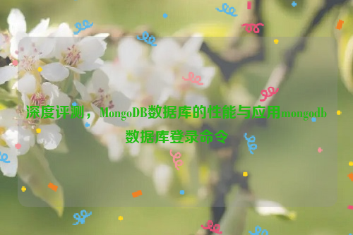 深度评测，MongoDB数据库的性能与应用mongodb数据库登录命令