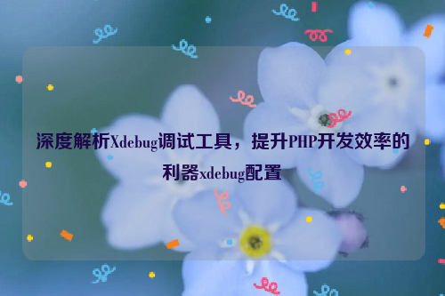 深度解析Xdebug调试工具，提升PHP开发效率的利器xdebug配置