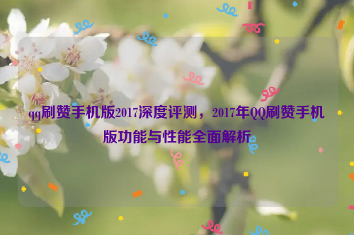 qq刷赞手机版2017深度评测，2017年QQ刷赞手机版功能与性能全面解析