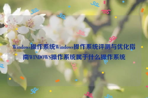 Windows操作系统Windows操作系统评测与优化指南WINDOWS操作系统属于什么操作系统