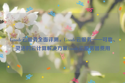 Linode云服务全面评测，Linode云服务——可靠、灵活的云计算解决方案linode云服务器费用