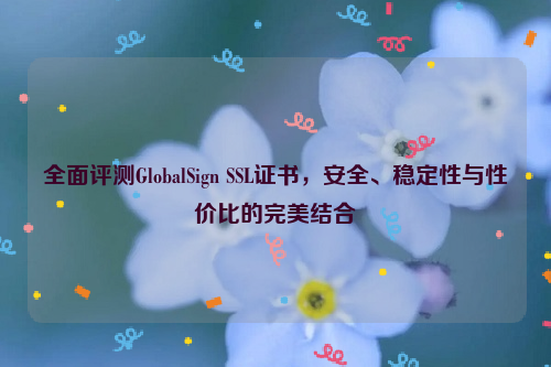 全面评测GlobalSign SSL证书，安全、稳定性与性价比的完美结合