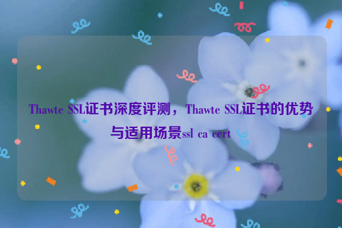 Thawte SSL证书深度评测，Thawte SSL证书的优势与适用场景ssl ca cert