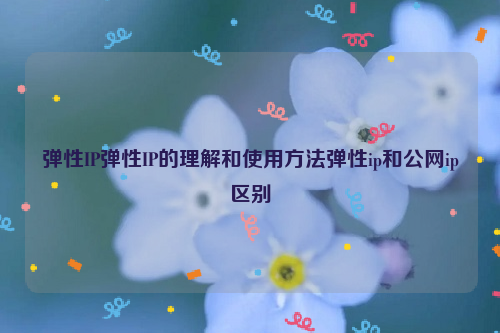 弹性IP弹性IP的理解和使用方法弹性ip和公网ip区别