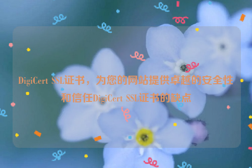 DigiCert SSL证书，为您的网站提供卓越的安全性和信任DigiCert SSL证书的缺点