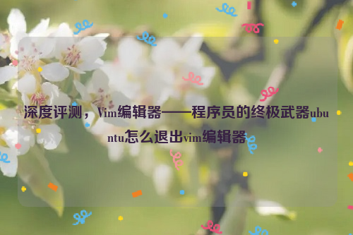 深度评测，Vim编辑器——程序员的终极武器ubuntu怎么退出vim编辑器