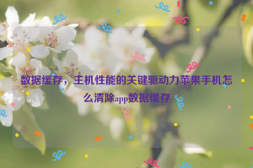 数据缓存，主机性能的关键驱动力苹果手机怎么清除app数据缓存