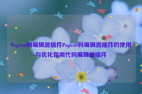 Pugient码编辑器插件Pugient码编辑器插件的使用与优化指南代码编辑器插件