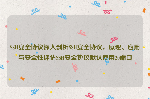 SSH安全协议深入剖析SSH安全协议，原理、应用与安全性评估SSH安全协议默认使用20端口