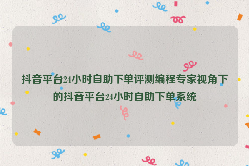 抖音平台24小时自助下单评测编程专家视角下的抖音平台24小时自助下单系统