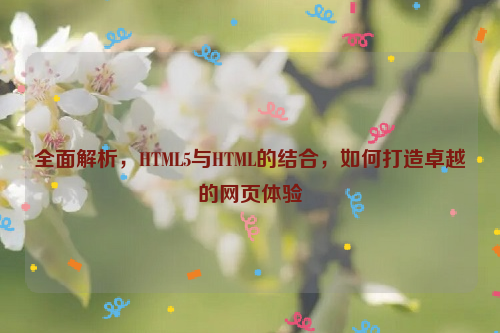 全面解析，HTML5与HTML的结合，如何打造卓越的网页体验