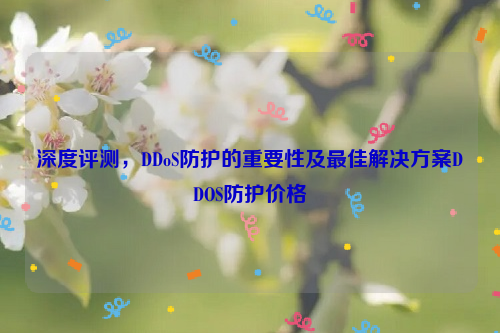 深度评测，DDoS防护的重要性及最佳解决方案DDOS防护价格