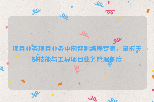 项目业务项目业务中的评测编程专家，掌握关键技能与工具项目业务管理制度