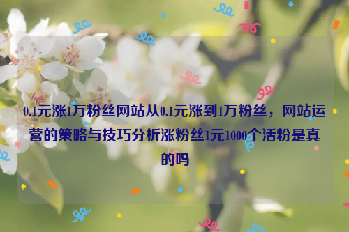 0.1元涨1万粉丝网站从0.1元涨到1万粉丝，网站运营的策略与技巧分析涨粉丝1元1000个活粉是真的吗