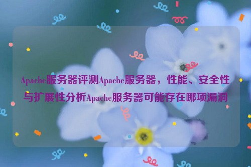 Apache服务器评测Apache服务器，性能、安全性与扩展性分析Apache服务器可能存在哪项漏洞