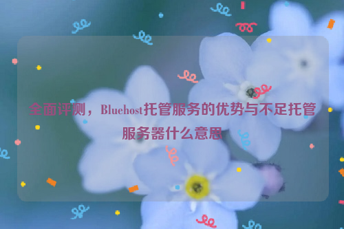 全面评测，Bluehost托管服务的优势与不足托管服务器什么意思