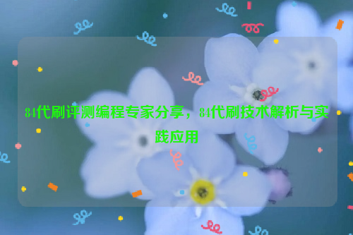 84代刷评测编程专家分享，84代刷技术解析与实践应用