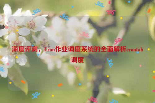 深度评测，Cron作业调度系统的全面解析crontab调度