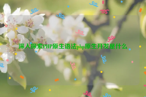 深入探索PHP原生语法php原生开发是什么