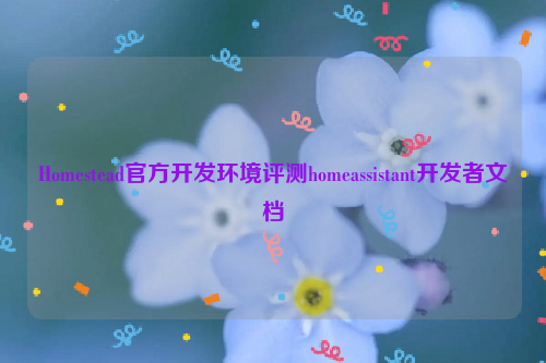 Homestead官方开发环境评测homeassistant开发者文档