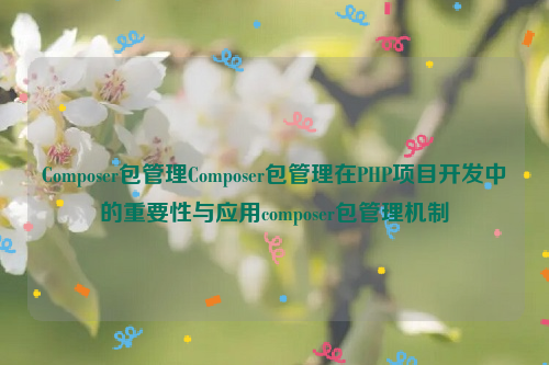 Composer包管理Composer包管理在PHP项目开发中的重要性与应用composer包管理机制