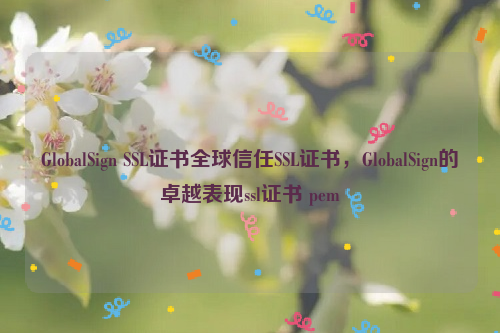 GlobalSign SSL证书全球信任SSL证书，GlobalSign的卓越表现ssl证书 pem