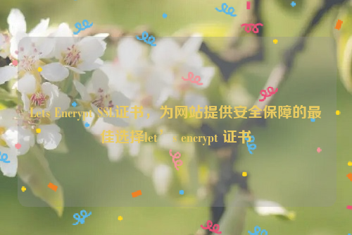 Lets Encrypt SSL证书，为网站提供安全保障的最佳选择let’s encrypt 证书