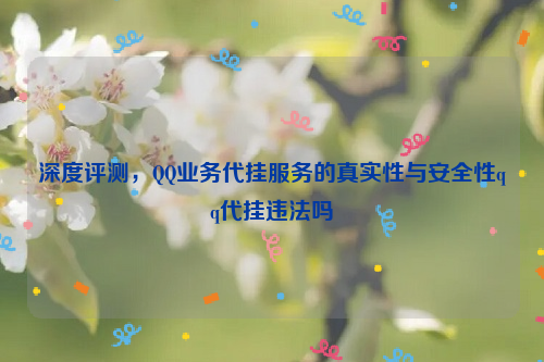 深度评测，QQ业务代挂服务的真实性与安全性qq代挂违法吗