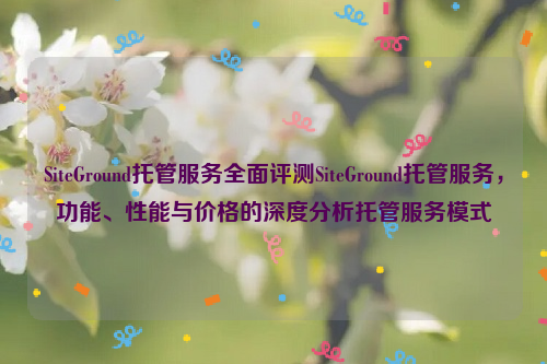 SiteGround托管服务全面评测SiteGround托管服务，功能、性能与价格的深度分析托管服务模式