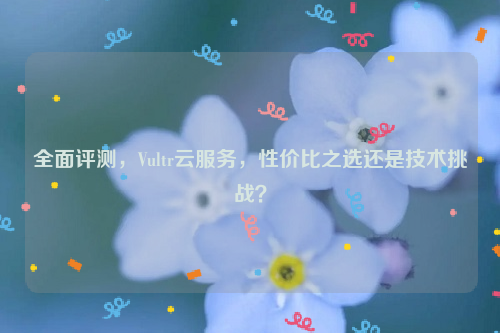 全面评测，Vultr云服务，性价比之选还是技术挑战？