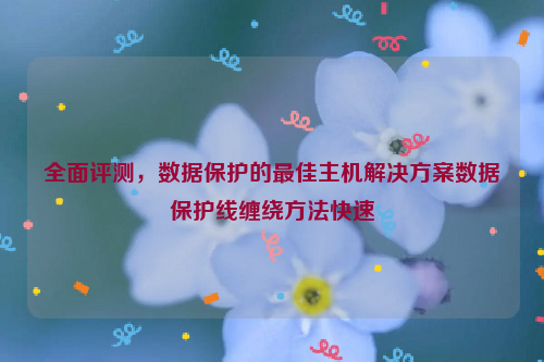 全面评测，数据保护的最佳主机解决方案数据保护线缠绕方法快速