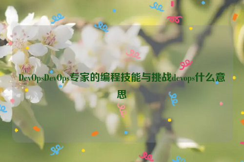 DevOpsDevOps专家的编程技能与挑战devops什么意思