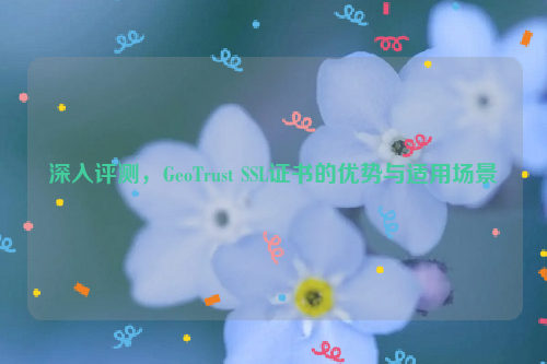 深入评测，GeoTrust SSL证书的优势与适用场景