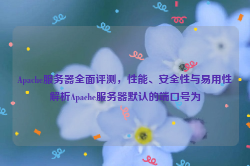 Apache服务器全面评测，性能、安全性与易用性解析Apache服务器默认的端口号为