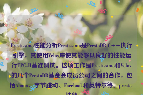 Prestissimo性能分析Prestissimo是PrestoDB C++执行引擎，其使用Velox库使其能够以良好的性能运行TPC-H基准测试。这项工作是Prestissimo和Velox的几个PrestoDB基金会成员公司之间的合作，包括Ahana、字节跳动、Facebook和英特尔等。presto 性能